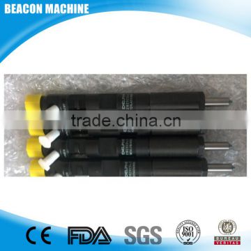 BEACON GENUINE D E L P H I Common rail injector 28232242,EJBR04101D,EJBR02101Z for RENAULT 8200049876, N-ISSAN 166003978R