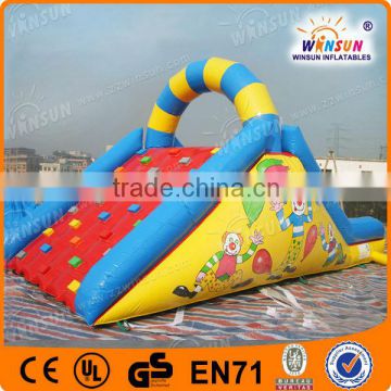 factory supplier clown backyard inflatable water slides