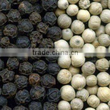 Black Pepper/ White Pepper/ Black Pepper Corns (Mobile: 0084965152844)