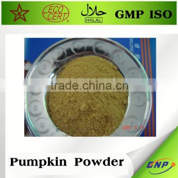 halal certified pure natural pumpkin seed extract