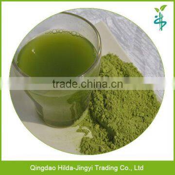 2016 Organic young barley grass powder