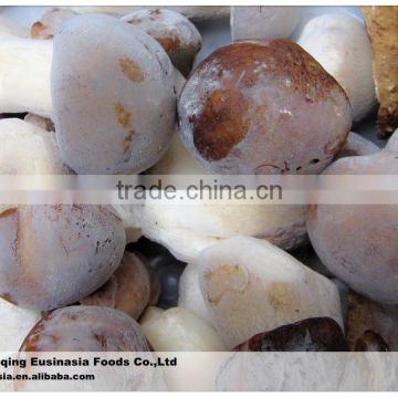 Frozen wild king bolete/porcini mushroom/iqf boletus edulis