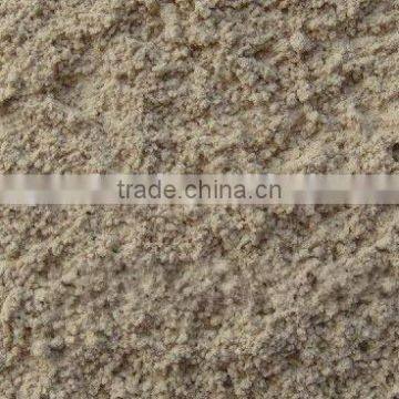 mushroom powder