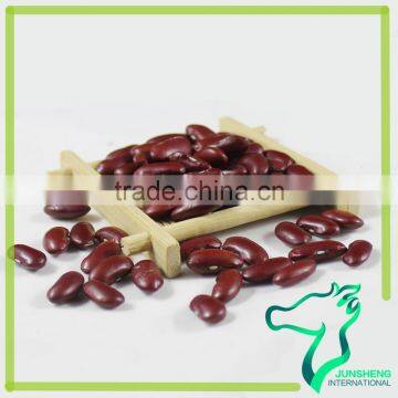 Largest Supplier Dark Kidney Beans For Soup