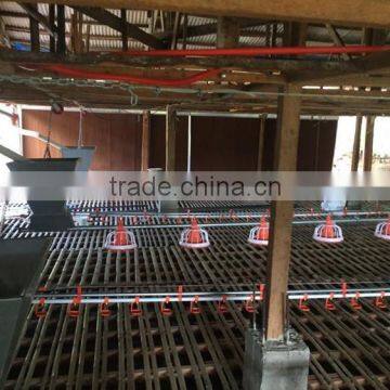 low cost broiler farm chicken shed for sale