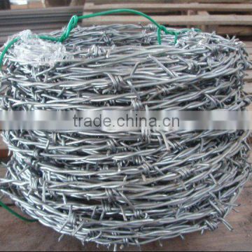 Galvanized Barbed Wire