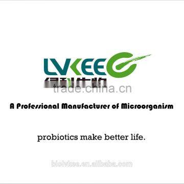 High Quality 50 Bilion Cfu/g Bacillus Laterosporus for Animal Additives Supplements