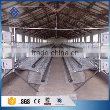 30 Years' Factory Supply Automatic Layer Chicken Cage photo-3