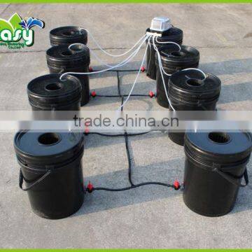 DWC Hydroponics system with 8buckets system.7 Cloner bucket. 5x20L cloner bucket. Home hydroponic system.