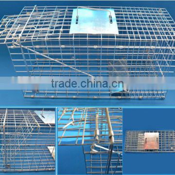 Pest Control / cat trap cage / Feral Cat Trap and rat trap cage