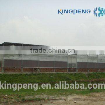 Multi Span Polycarbonate Sheet Greenhouse photo-3