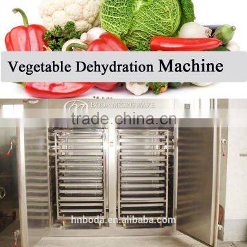 vegetable dehydration Dying Machine