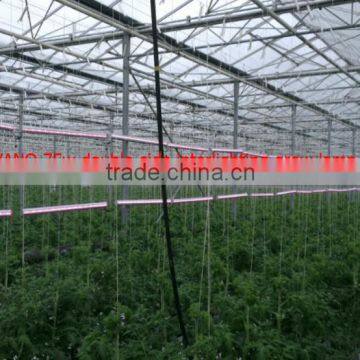 2017 Wholesale Indoor Farm Lighting for Greenhouse Tomatoes/cucumber/rose Etc., photo-4