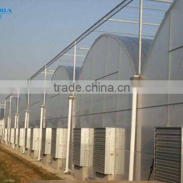 Commercial Plastic Hoop Vegetable Greenhouse photo-2