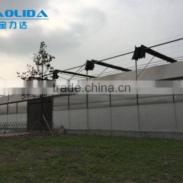 Hot Dip Galvanized Framework Plastic Film Greenhouse for Vegetables and Plant