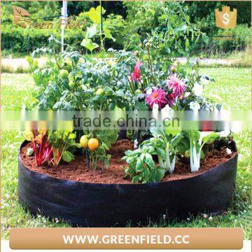 Home Garden Balcony Garden Pots of Organic Vegetables Planting Large Garden Pots photo-5