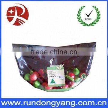 Hange Plastic Fruit Packing Protection Bag With Air Holes photo-3
