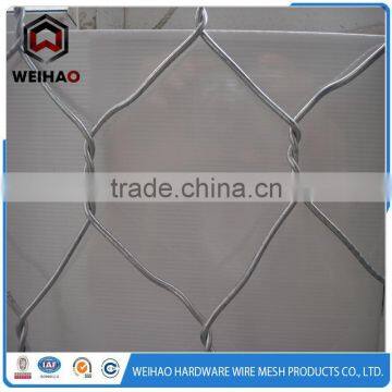 Good quality hot dipped galvanized hexagonal wire mesh