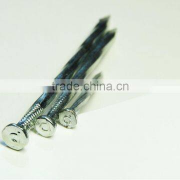 Galvanized Concrete Nails (Iso9001 Manufacturer) photo-4
