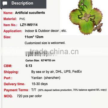 Succulent Plants Potted Succulent Artificial Bonsai Plant Succulent photo-4