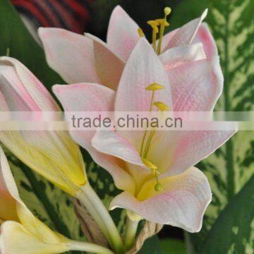 Amaryllis Artificial Foam Flower