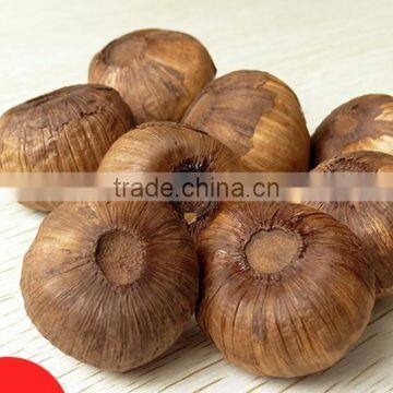 Fermented Chinese Solo Black Garlic 500g/bag Hot for Sale in 2016 --HC Company photo-2