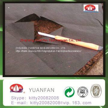 Polypropylene Agriculture Plastic Ground Cover Mesh photo-5