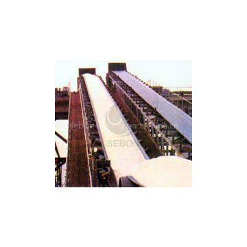 Professional Made Belt Conveyor