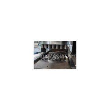 Screw Automatic Powder Press Machine , High Speed Rotary Tablet Press 200Ton