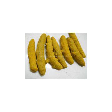 Curcumin photo-2