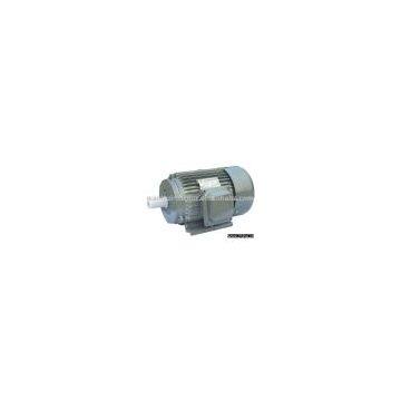 AEEF Three-phase Induction Motor
