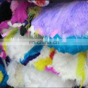 Wholesale South Africa Ostrich Feathers for Decoration Wedding Ostrich Feathers photo-5
