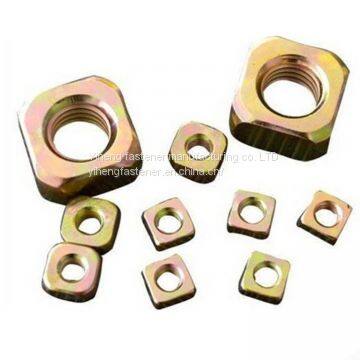 Square Nut，The Nut photo-4