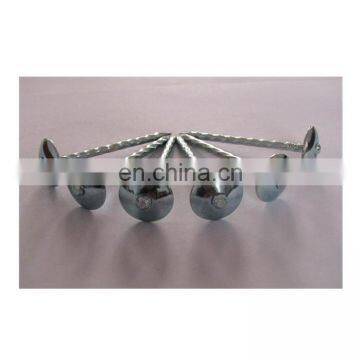 High Quality Galvanized zinc plated Roofing Nail