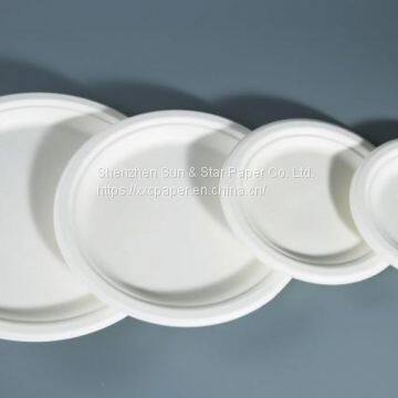 Eco-friendly Bagasse 6