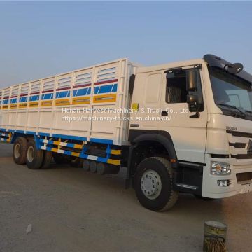 Sinotruk Howo Cargo Truck for Sale in Djibouti, Somalia, Somaliland