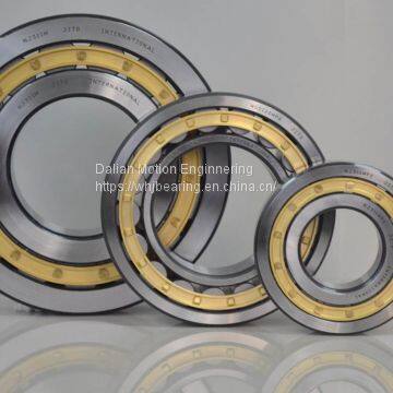 Four Row Cylindrical Roller Bearing