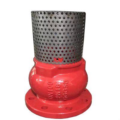 Industrial Pump Suction Foot Valve with ANSI Flange, Ductile Iron Construction and Stainless Steel Screen