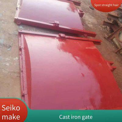 Factory Sale of Cast Iron Gates, 2*2 Meters, River Gates, Steel Gates for Reservoirs photo-3