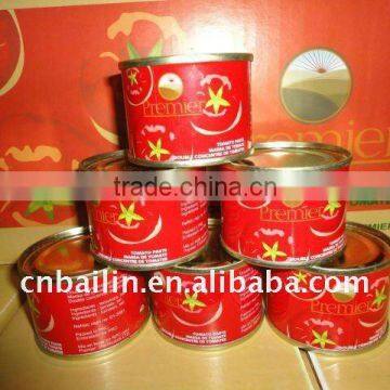 210g tomato paste high quality for Ghana Market