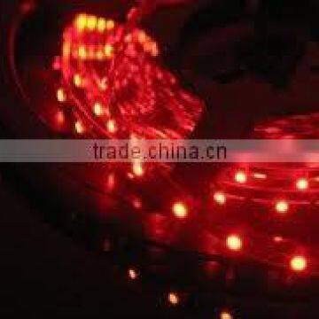 LED Strip smd 3528 IP 20