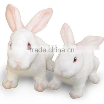 Cute white bunny plush toys