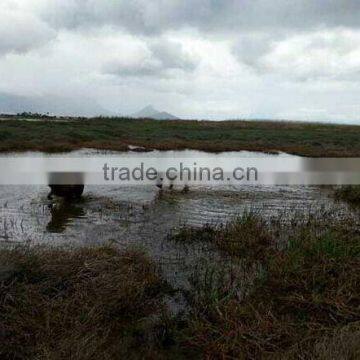 Outdoor Wild Bird Hunting Dog Beeper Collar photo-2