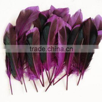 Wholesale two tone duck feathers-purple and black