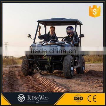 600 cc Utility Vehicle/Farm Car