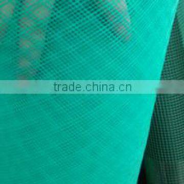 Plastic Insect Mesh/Window Screen Net/Plastic Widow Screening Net