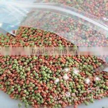 Sinking and Floating Fish Feed Pellet Machine Price photo-3