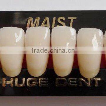 MAIST L8 denture equipment