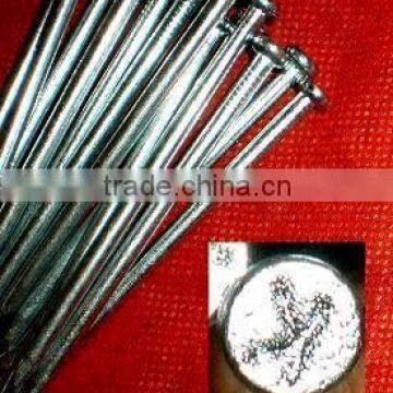 fast delivery time Galvanized Concrete Nails