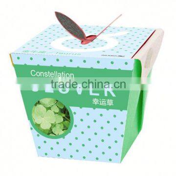 High Quality traditional chinese gifts DIY mini bonsai wholesale irish gifts , cricket gifts